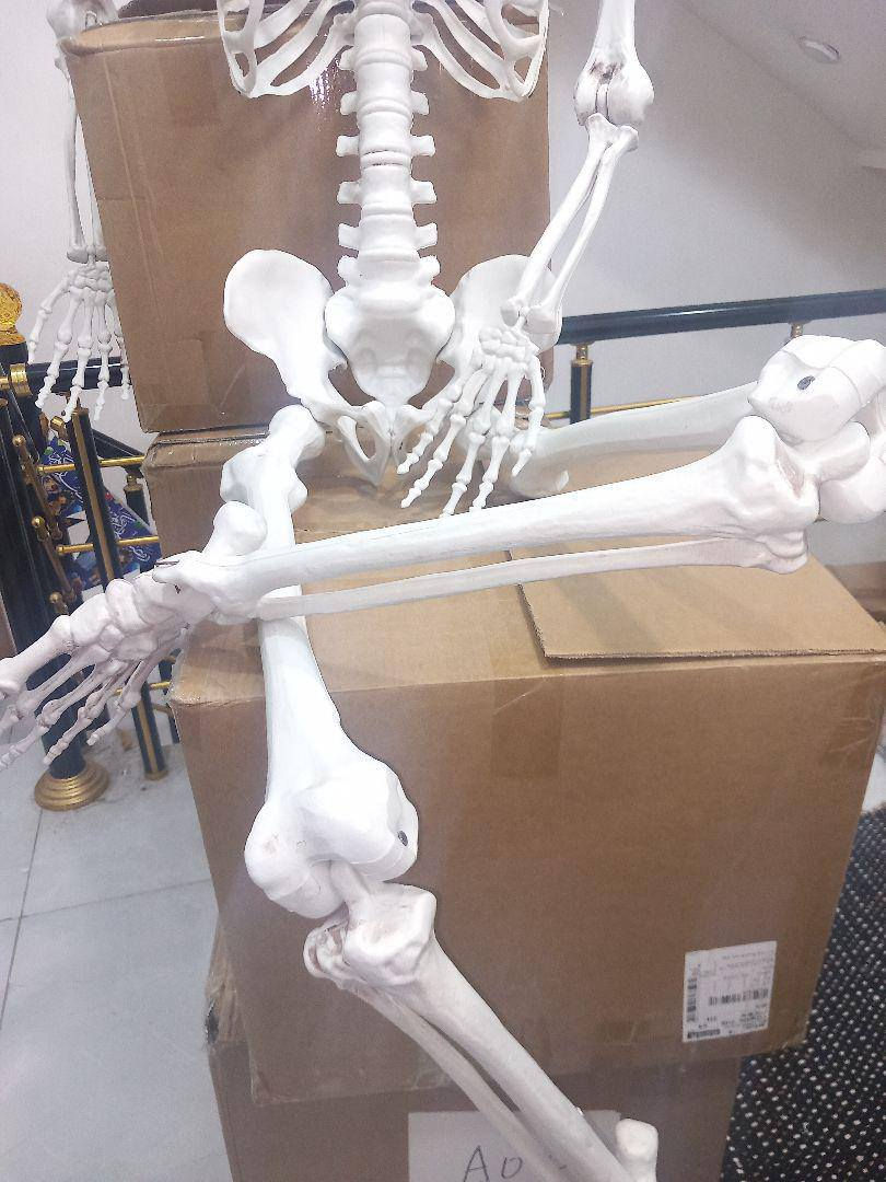 السلام عليكم 
 هياكل عظمية كلشي بسعر مكتوب ع الصور مع القياس


**إذا كنت صاحب هذا الإعلان وتريد حذفه لأي سبب، رجاءا أرسل رسالة إلى الدعم الفني**