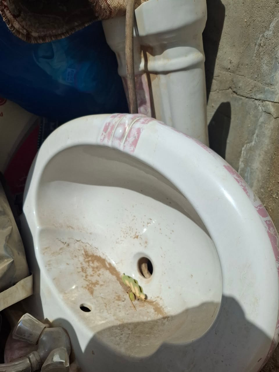 کاربد مهمی٢فی٣
مغسلە حجم جبیر


**إذا كنت صاحب هذا الإعلان وتريد حذفه لأي سبب، رجاءا أرسل رسالة إلى الدعم الفني**