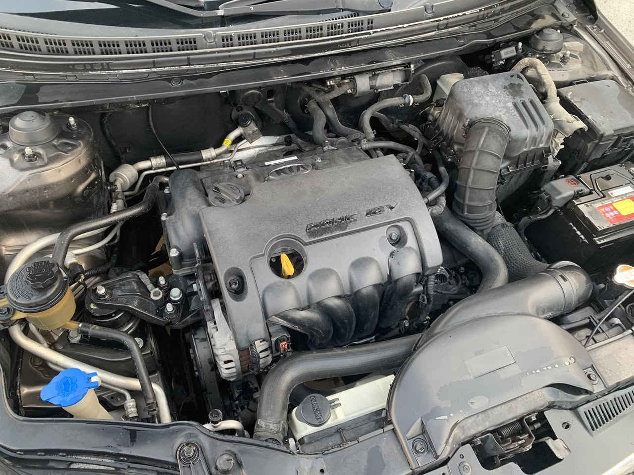 سلام عليكم
سيراتو  ٢٠١٢   بغداد خليجي فول لمتد مواصفات فول
بصمة /  فتحة /تبريد / تدفئه  /مرايات شفط/ شفتات ستيرن /كير ٦ نمر / ويل كب /ABS/ رادار خلفي /اشاير مري
كير ومكينة شرط / ممفتوحه
السعر  93  ماشيه 170 الف
بيه سونار راح اخليه ويه الصور
هاتف / ***********
