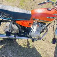 تايكر 2020 أوراق سكنر السعر 450 التواصل 07749430168