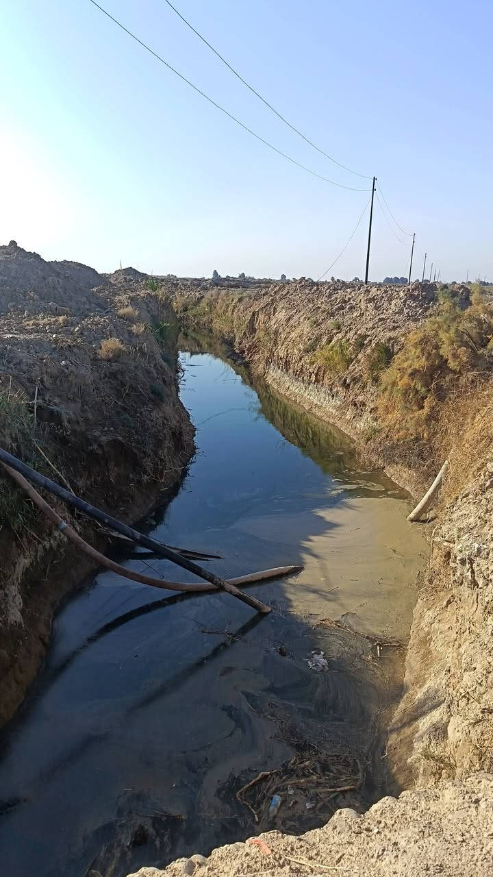 السلام عليكم كاع البيع 30دونم عله المصيفي هيه وزرعهه يتوفرر ماي وكرهباىه ومعه بستان نخيل 3دوانم والتبليط عنهه 5متار ***********.***********
