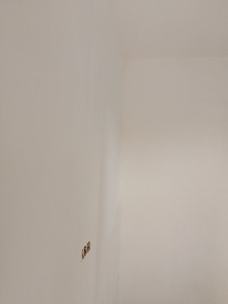 ***********في بغداد
