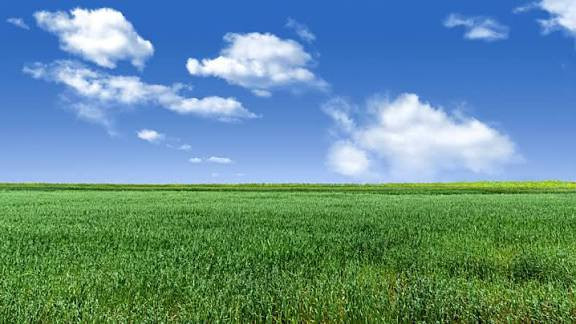 البيع ارض زراعيه 60دونم عله شط ماطوره وحده ***********
