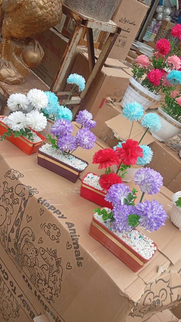 العنوان وزيريه خلف البازيخانه محلات دراجي جمله فقط ***********
