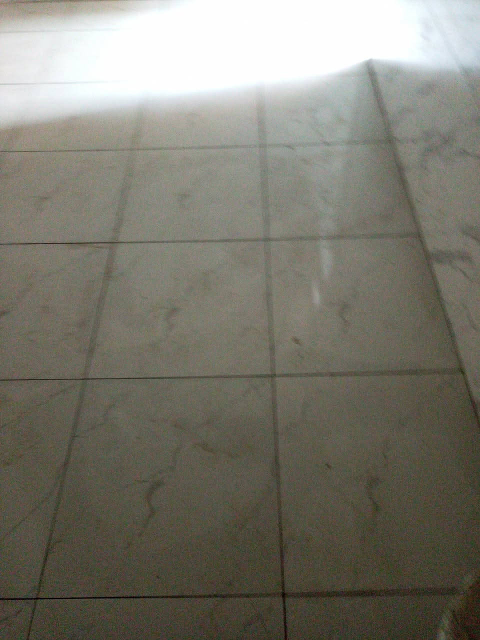 سلام عليكم كادر متفرغ شغل ارضيات وجدران استلام مهندس
***********
