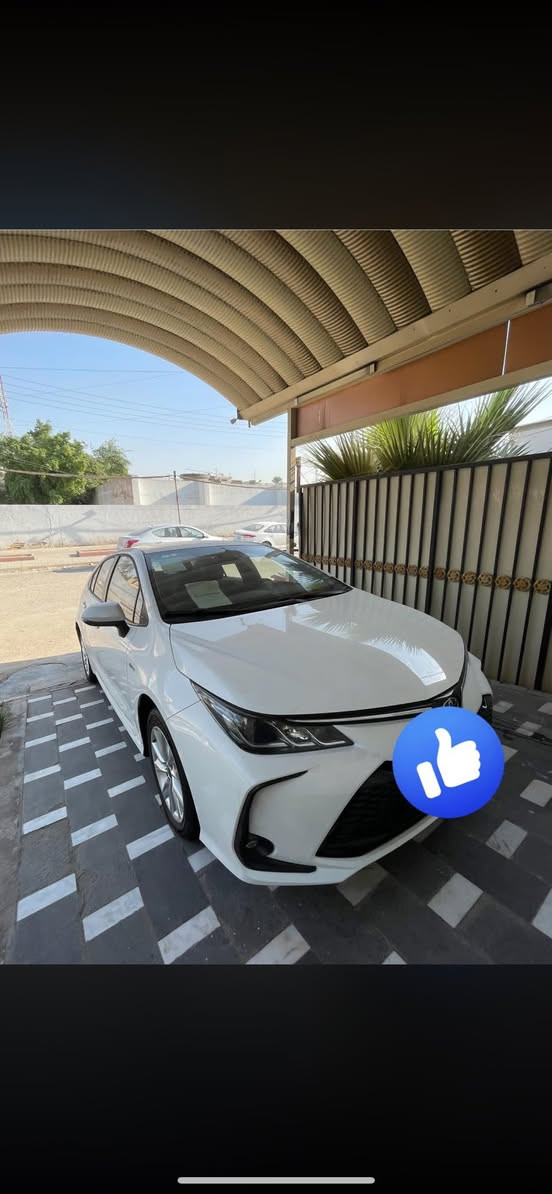 زيرو 2025
160
بغداد الرصافة 
***********
