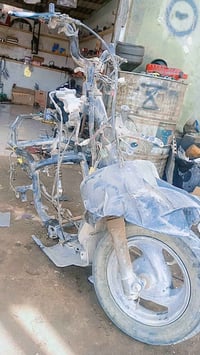 فراشه ماكس • شاصي • ضفيره بلاديه