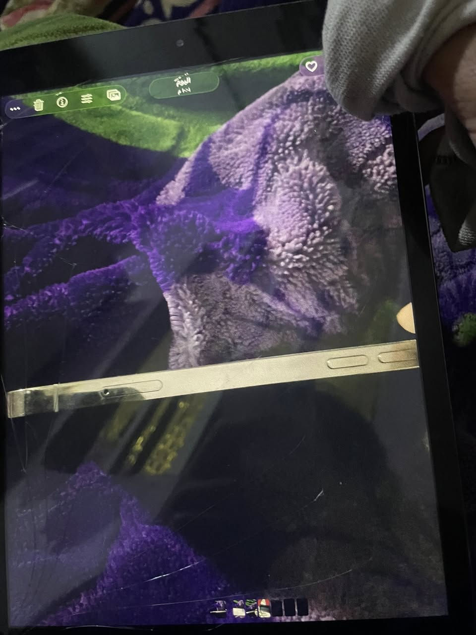 اثنعش برو ذاكره٢٥٦ رايده ٢٢٥


**إذا كنت صاحب هذا الإعلان وتريد حذفه لأي سبب، رجاءا أرسل رسالة إلى الدعم الفني**