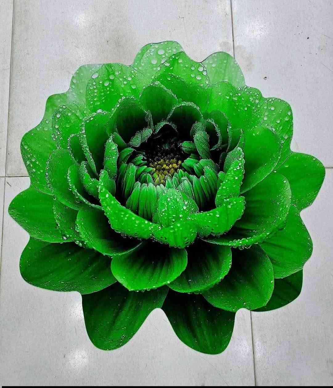 #ادوات منزاليه درجة اولى،🧿
#بأنسب الاسعار 🧿
🎁🎉🍹🫖🧋🍿🥮🥗
توصيل مركز محافظة ذي قار
الفين  دينار 🚗🚗
اطراف الناصرية٣ الاف
أقضية ونواحي 4 الاف 
توصيل محافظات 5الاف
🚗🚗رابط الإنستا 👎
https://instagram.com/a1__a883?igshid=NGExMmI2YTkyZg== Honolulu, HI


**إذا كنت صاحب هذا الإعلان وتريد حذفه لأي سبب، رجاءا أرسل رسالة إلى الدعم الفني**