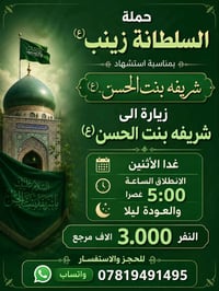 زيارة شريفة بنت الحسن • حملة السلطانة زينب • الديوانية