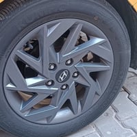 تخم ويل كب النترا 24 للبيع  07725384664////////السعر 350.     حجم 16