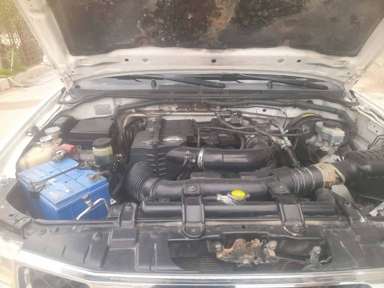 سلام عليكم اخوان نيفاره موديل ١٢نضيفه رقم أربيل تحويل  اخوان مكلف بنشر مكلف هاذ رقم راعيه ***********
