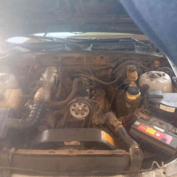 برنس 97 رقم بغداد جاهزة استفسار *********** واتس اب او اتصال*********** الفارس
