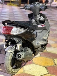 سكنس فحل • كفاله عامه • قبق كلجات