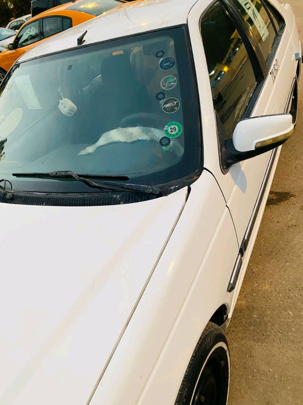 السلام وعليكم ملاحضه انا مكالف بنشر 
بيجو بارص موديل 22 كفاله عامه من دعاميه للبدي سعر 62ورقه تفاصيل تصال عله هاذ رقم
***********
بي وتساب