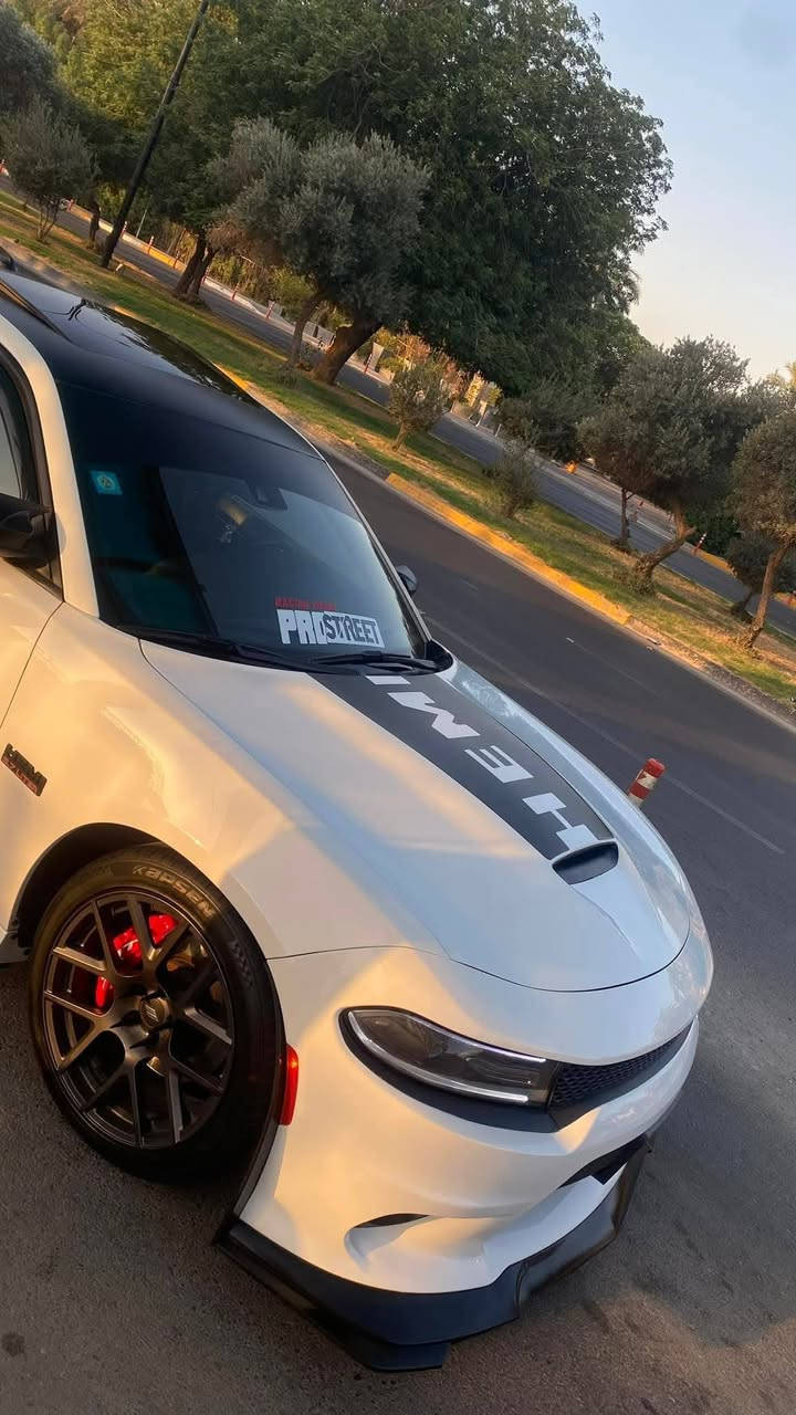 جارجر DAYTONA  اعلى مواصفات
موديل 2018 
السلام عليكم ( للبيع فقط بدون مراوس )
للاستفسار ***********
الضرر
((( بس بنيد ونفسة معدل فقط مكفوله السيارة من قطره الصبغ كفاله عامه مكفوله من الدواخل)))
ملاحضة السيارة دايتونا 1/1 اعلى فئة
ماشية ٦٢ ميل
 المواصفات دايتونا 1/1
سلايد فتحة سقف
رادار امامي
بصمة ابواب
كشنات كهرباء
كشنات تدفئة + تبريد
كشنات ميموري
كشنات شامواء رياضي مختم دايتونا
لايتات زينون
رادارات جانبيه نقاط عمياء
ويل دايتونا حجم 20 
حساسات خلفية
نضام تحديد المسار
شوته دايتونا رياضية
