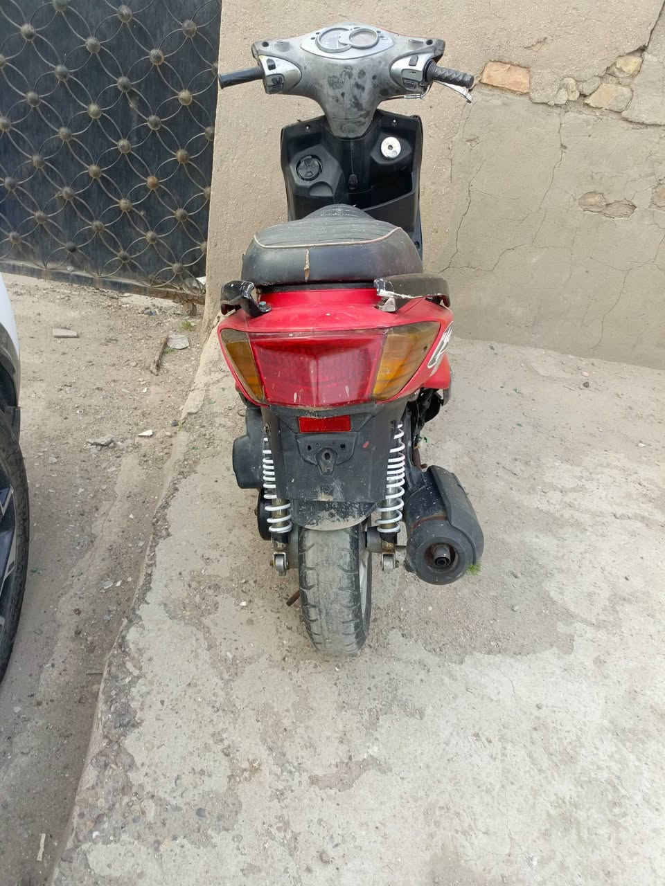 سلام عليكم سكنس فحل شلعة ومعدل بوشة 58 رياضي اشك الكاع سعرهة 250 بيهة مجال مكاني شارع فلسطين ***********
