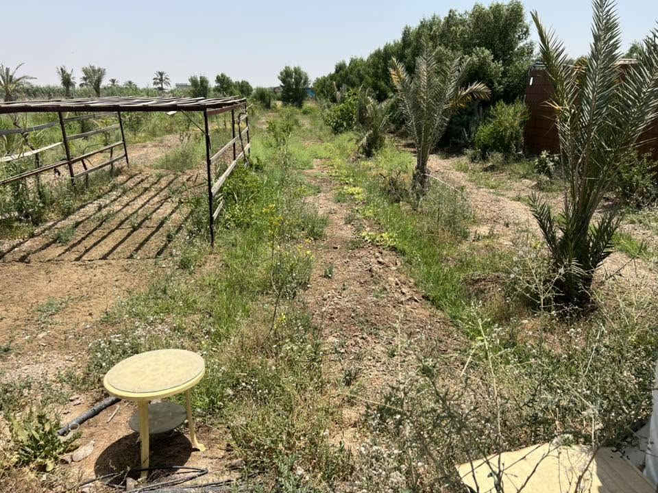سلام عليكم
للبيع  دونم مزرعه عقد 117/في منطقة المدائن سلمان باك/

خدمات كاملة (تبليط /كهرباء /وماء صالح للشرب / وماء سقي 

الوجه 20 ونزال 125

السعر (250) وبيها مجال (***********)

