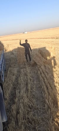 كبس تبن • كربلاء • كمية مفتوحة