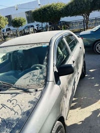 كورلا نحله • ٢٠٠٥ • رقم كركوك