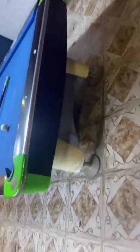 عندي ذنب الميزين للبيع 
عنواني كركوك حي النداء 
وياهن سيتين طوبات هم 
طالب عليهن ١٢ ورقه وبيهن مجال
خابر وتدلل ***********
