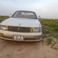كراون بطة • ١٩٩٤ • دلي عباس