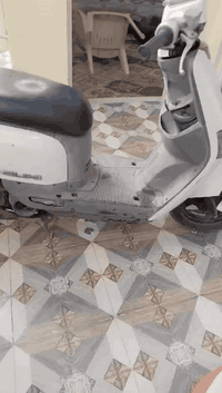 لبيع دراجه بليسي حلوه هذه رقم صاحب الدرجه ‏‪***********‬‏السعر خاص
