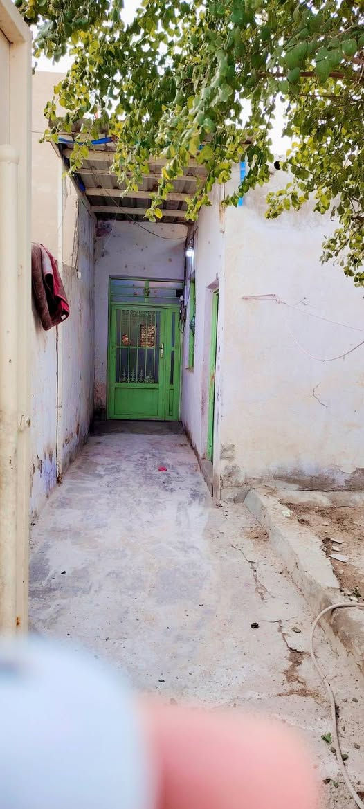 بيت للايجار النجف حي ميسان على الشارع العام شارع الشريط قرب صيدلية الشراع
100 متر يتكون من حديقة وساحة بيت واستقبال وغرفة وصالة ومطبخ وصحيات ويحتوي على سخان وكيزر
الايجار كل شهر بشهرة للاستفسار الاتصال ***********
او مراجعة مكتب الروان للوساطة العقارية  عنوان المكتب على سايدين الشريط
#النجف_الأشرف #النجف #الكوفة #حي_ميسان #عقارات #ايجار #رهان #بيع #شراء #العراق
