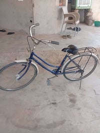 باسكال • ٥٥ • خاص