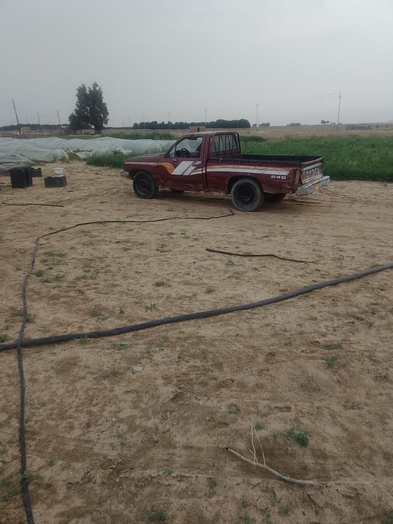 سلام عليكم بيكم مديل 1991مكينةً وكير مكفولات رقم واسط سنوية صاقطة بل 2021 شاصي مكفول سعر 15وبيهة مجال بيع مستعجل رقم الهاتف ***********انتصال❤️
