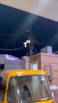 تيك توك للبيع رقم سنويه موديل 20 شهر 12 رقم الهاتف 07749889557