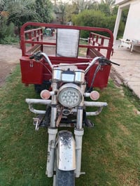 ستوته دايون • 2014 • مقداديه