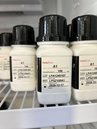 زبائنا متوفر الوان Dental direkt الالمانية 🇩🇪 سعر منافس ومناسب توصيل ل...