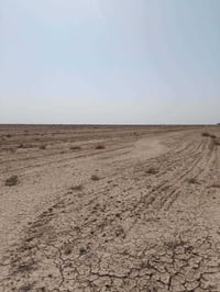ارض زراعيه للبيع 60دونم بيه ماي وبيت وقطسات تبعد عن تبليط كيلو وعن الم...