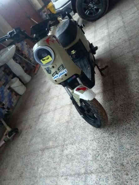 سلام عليكم دراجه شحن r9للبيع
دراجه نضيف 

كلها بلدي.

بطاريات 32 توه مبدلهن 

دراجه ما تصرف شحن 

سرعه 99 اسرع من 109 

دراجه نهضه صرعة قويه 

سعر 475 وبيها مجال قليل وانا خادم 

رقم الهاتف واتساب رصيد موجود  مكان البصره كرمت علي 

***********
