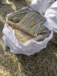 مكانس جملة • درجه اولى • سماوة ال عبيد