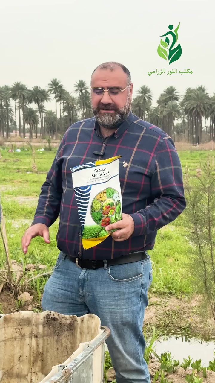 الفسائل المنقولة حديثا 
الكثير من الاخوة يسأل هل نضيف الاسمدة الكيميائية ومحفزات الجذور بعد نقل الفسيلة من اجل تغذيتها وتقويتها 
نحن ننصح بعدم اضافة اي سماد كيميائي الى بعد التاكد من نجاح عملية النقل 
نقوم فقط باضافة الهيوماك السلوفاكي لانه سيصحح التربة ويعيد الحياة لها وكذلك نضيف احياء مجهرية دورها تقوية التربة ومقاومة الامراض الفطرية وكذلك تحسين مواصفات التربة وهي السبورا 
بعد ان تنمو سعفة جديدة هذا يعني نجاح عملية النقل ومن الممكن اضافة الاسمدة الكيميائية عند الحاجة 
للمزيد من المعلومات والاستفسار 
مكتب النور الزراعي ( شركة الماس الاصفر ) 
بغداد - اليوسفية - علوة الرمل 
***********
***********
