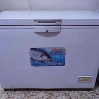 شباب هاي مجمده شرط التجميد السعر 225وبيه مجال قليل 07773533880