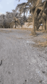 كربلاء طريق بغداد • ٢٥٠٠م • طابو سند