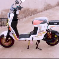 موديل ٢٠٢٦ • ديالى • دراجة كهربائية