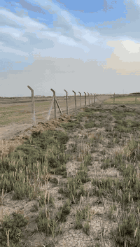 دونم طابو • عالتبليط مباشر • نجف كربلاء