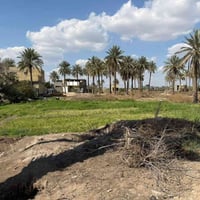 مزرعه ٢٠٠٠م • طابو زراعي • سنتر النيل