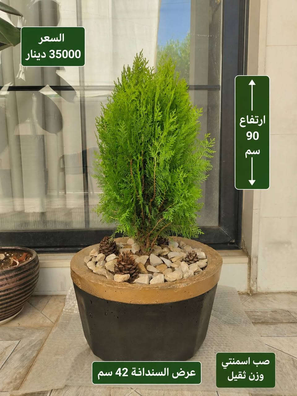 السلام عليكم
نباتات ظلية للبيع قسم منهم وياها سندان صب اسمنتي 
الأسعار والتفاصيل بالصور


**إذا كنت صاحب هذا الإعلان وتريد حذفه لأي سبب، رجاءا أرسل رسالة إلى الدعم الفني**