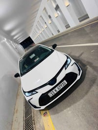 ١٨٠٠٠ كم • كفاله عامه • نجف كوفه