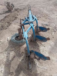 فدان ١٢ • سيد احمد رفاعي