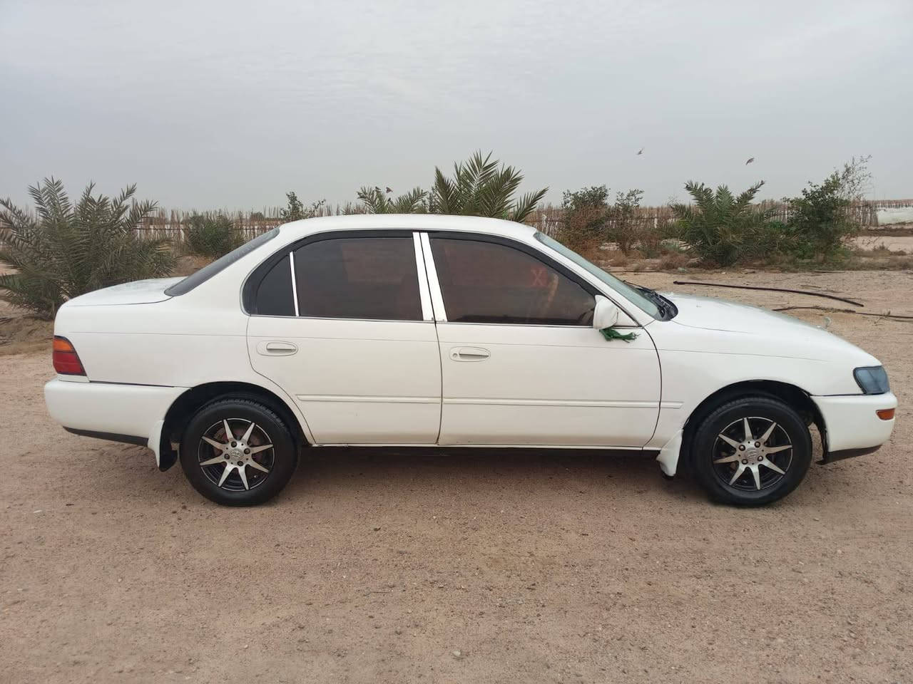 سلام كورلا موديل 93 رقم بصره انكليزي ابسمي سنويه مجدده لل 30 مكفوله من الكص والنقل وضربه القويه مكينه وكير بلكارتون السعر 47وبيه مجال كهربائيات شقاله حداده حلوه طخم مال جناي  تاير مكاني بصره سفوان شراي يتصل على الرقم ***********
