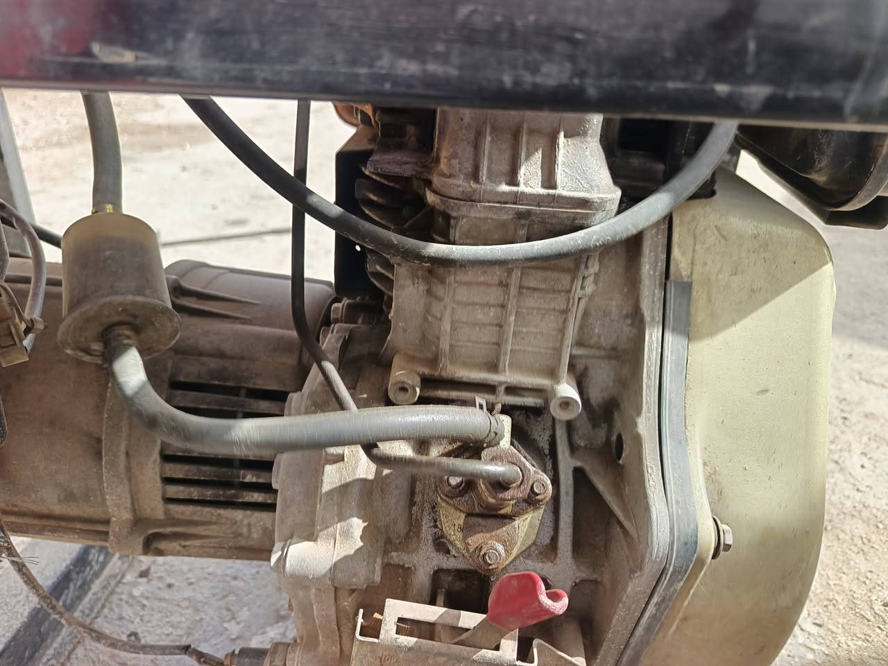 سلام عليكم مولد شغاله بس ماتحول العنوان السماوه قضاء الرميثه ***********
