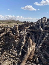 حطب للبيع كميات كثيره07893864189