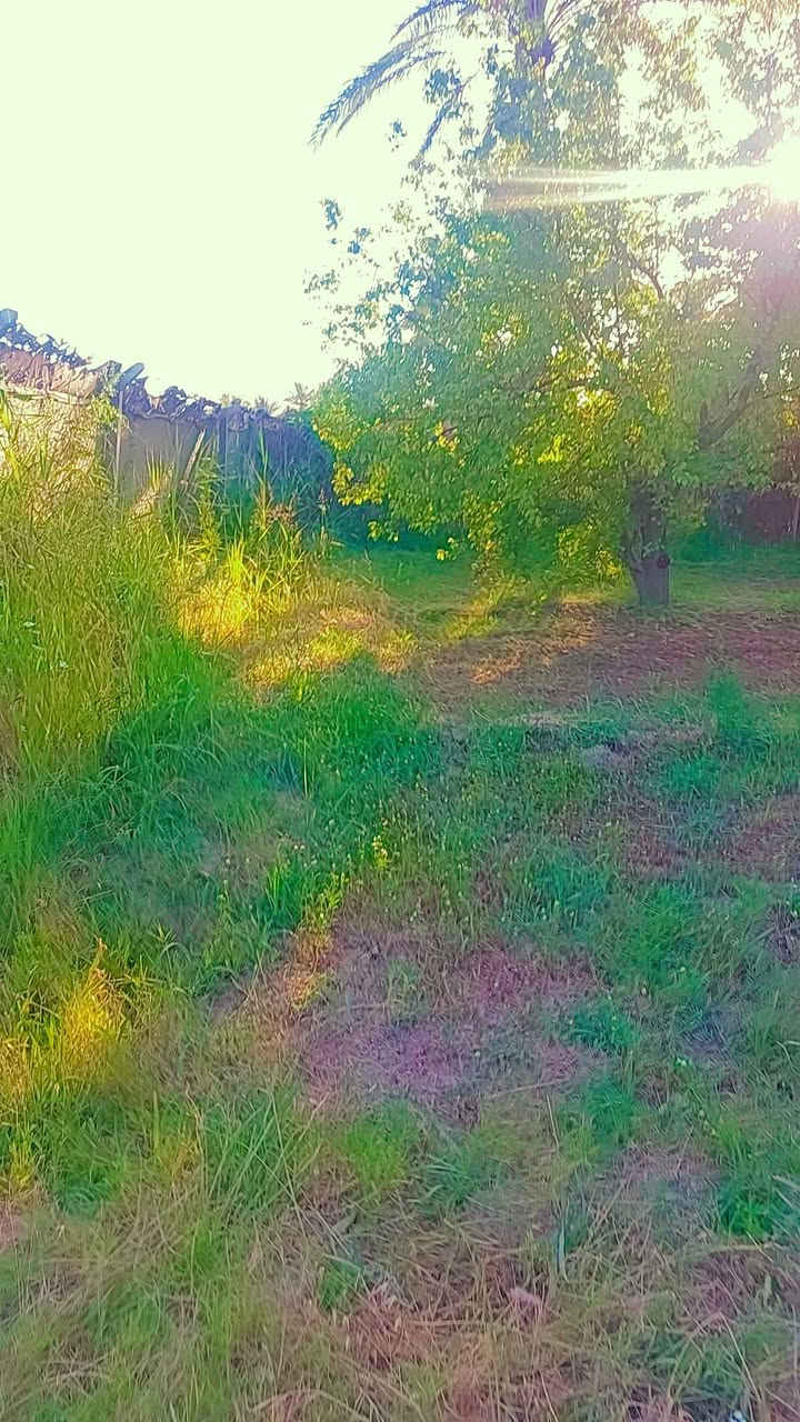 السلام عليكم  دونم للبيع بالراشدية جميع خدمات متوفره  وجه دونم ٤٠  × ٦٠  دونم  يحتوي على دار استراحة  يصلح سكن أو  شاليه  للايجار  
مكان  دونم  الراشدية  محايد  بين منطقة  المراسمه  ومنطقة  سوامره 
سند دونم  ٢٥  تحميل  على  طابو الحسينية  
سعر خاص   راح اترك رقمي اتصل بي واتساب  اخوكم دكتور احمد الحياني 
***********
