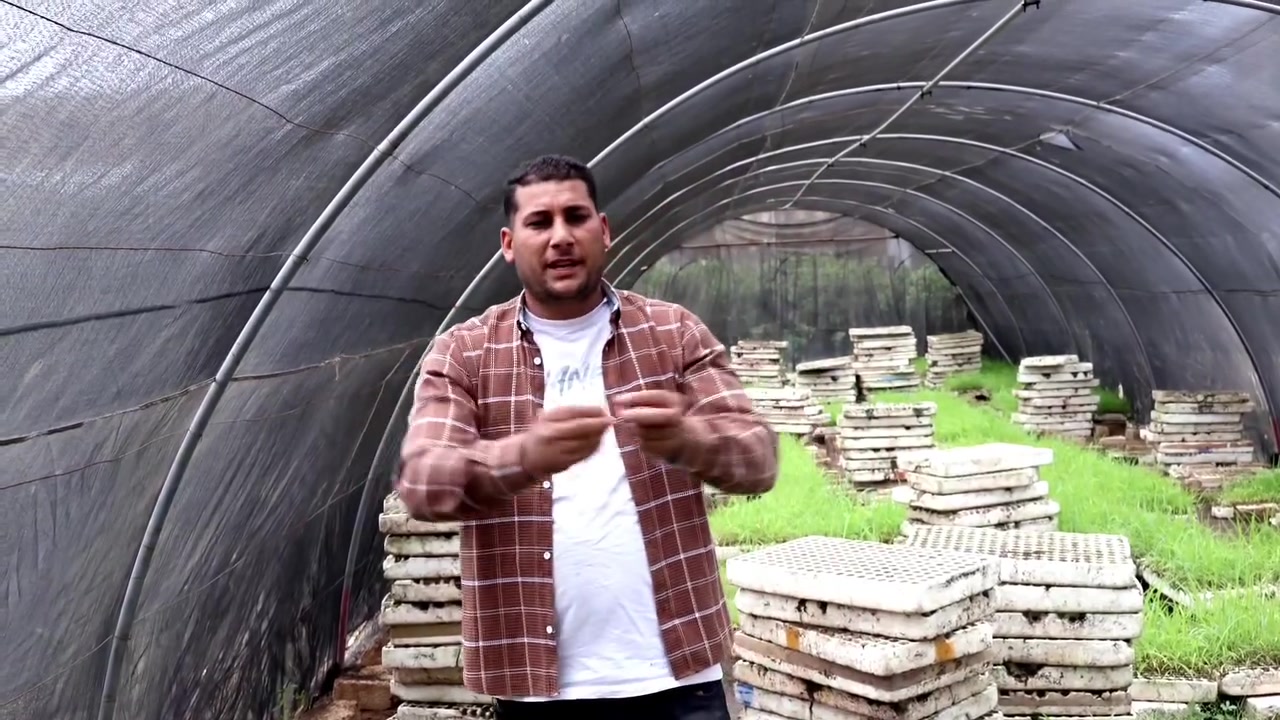 💥اعلان هام جدا جدا
يوجد تخفيضات وتوصيل مجانى 💪🤝
على شتلات علف البونيكام البرازيلي mg12🌱🌱
بمناسبه الوكالة الدولية المعتمدة الوحيده 👌
#اقوى علف في العالم للانتاج الحيواني 
#البونيكام البرازيلىmg12 
#يتميز بنعومه الساق
#نسبه الطاقه والبروتين22%
#معمر فالارض ل10سنوات
#يتحمل الملوحه العاليه9000في المليون
#انتاجيه عاليه
#المواشى كلها بتتقبله 
العنوان 👇
محافظة البحيرة مركز الدلنجات قرية البستان يوجد توصيل علي مستوي  محافظات الجمهورية 
 بنوفرلك البذور و الشتلات معاً كما يريد المزارع 👌

للتواصل أرقام👇
 
المهندس/وائل عامر السمالوسي 

01000827979
01029949207
01123995288


**إذا كنت صاحب هذا الإعلان وتريد حذفه لأي سبب، رجاءا أرسل رسالة إلى الدعم الفني**